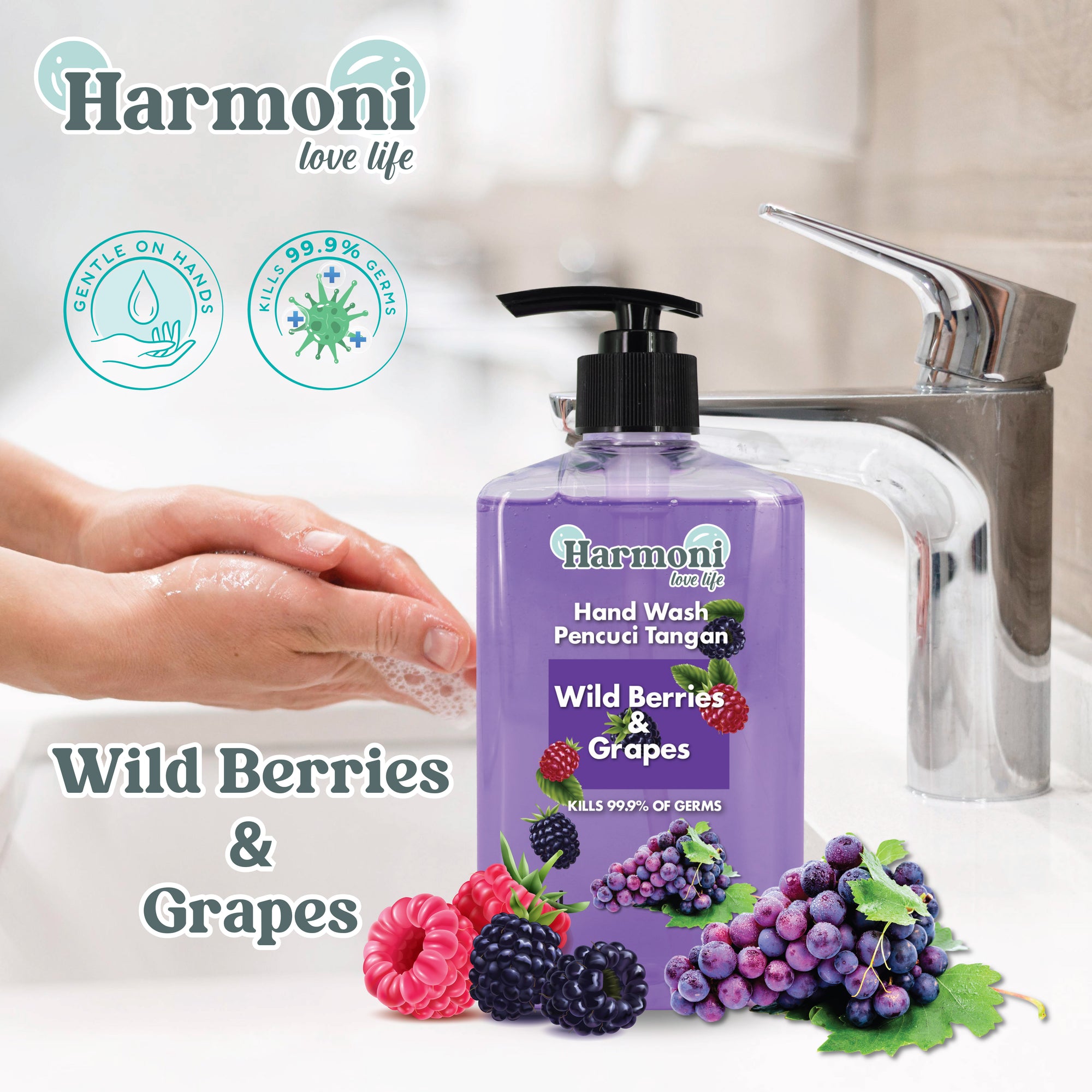 Harmoni Antibacterial Handwash (520ml)