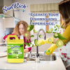 SunRich Dishwashing Liquid with pump (2000ml)